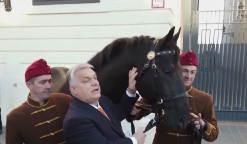 Acesta este calul făcut cadou de Viktor Orban lui Recep Tayyip Erdogan, la Budapesta! | "I-am dat un cal, am primit 435!"