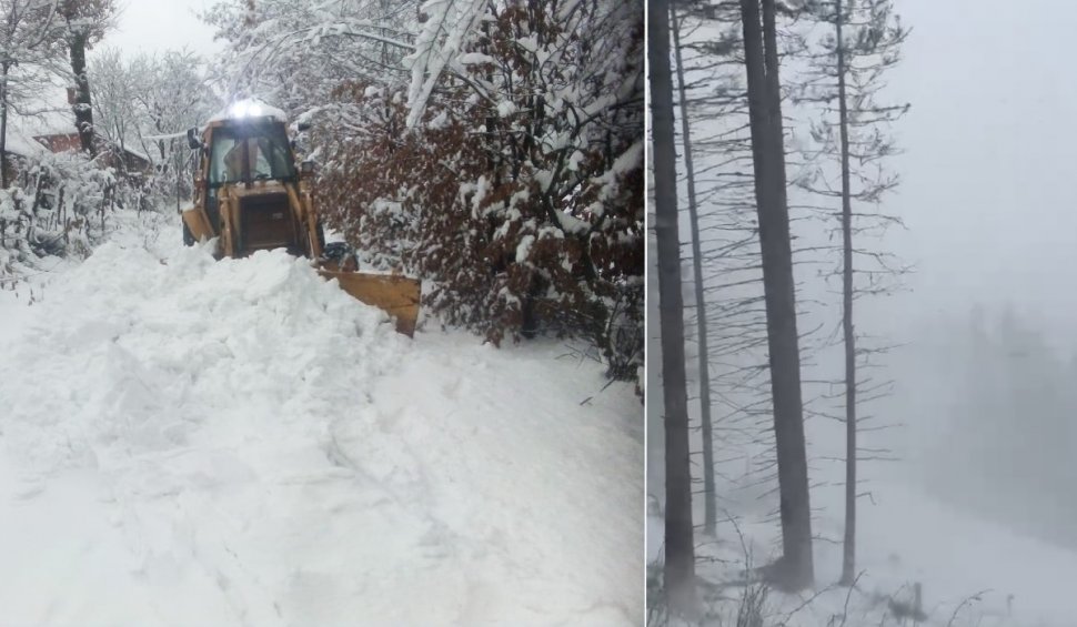 Furtună de ninsoare în nordul României! Sute de familii au rămas fără curent | Restricții de circulație din cauza viscolului