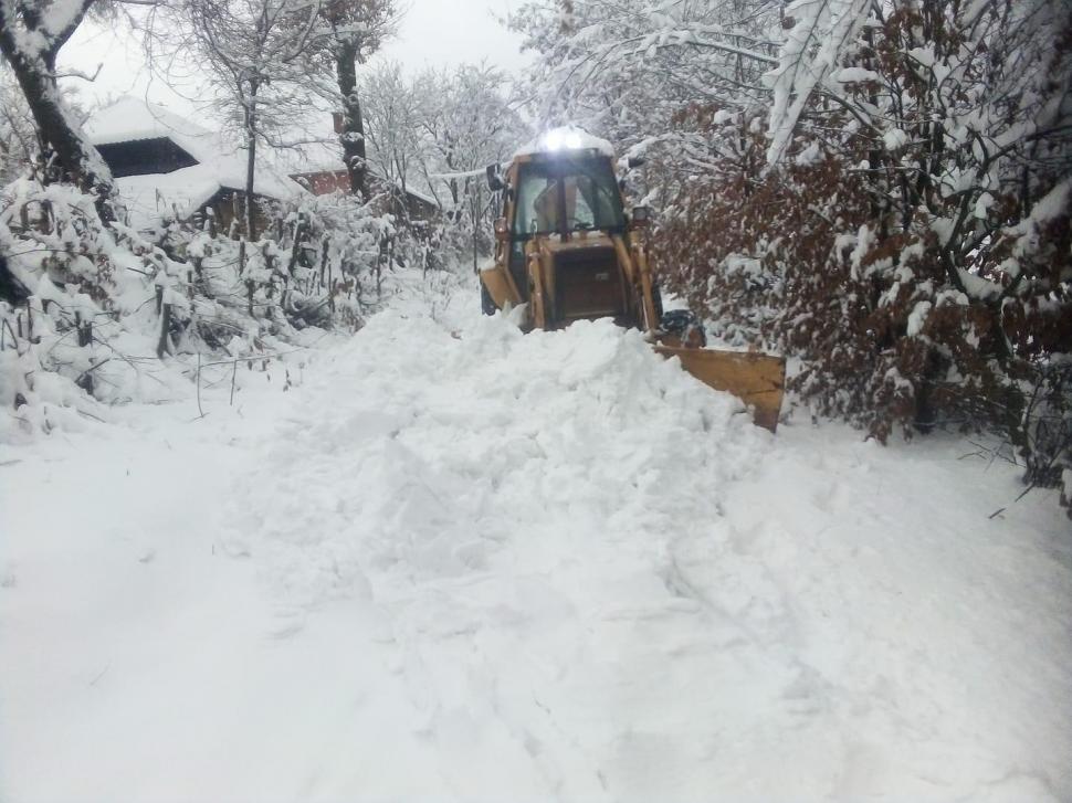 Furtună de ninsoare în nordul României! Sute de familii au rămas fără curent | Restricții de circulație din cauza viscolului 876713