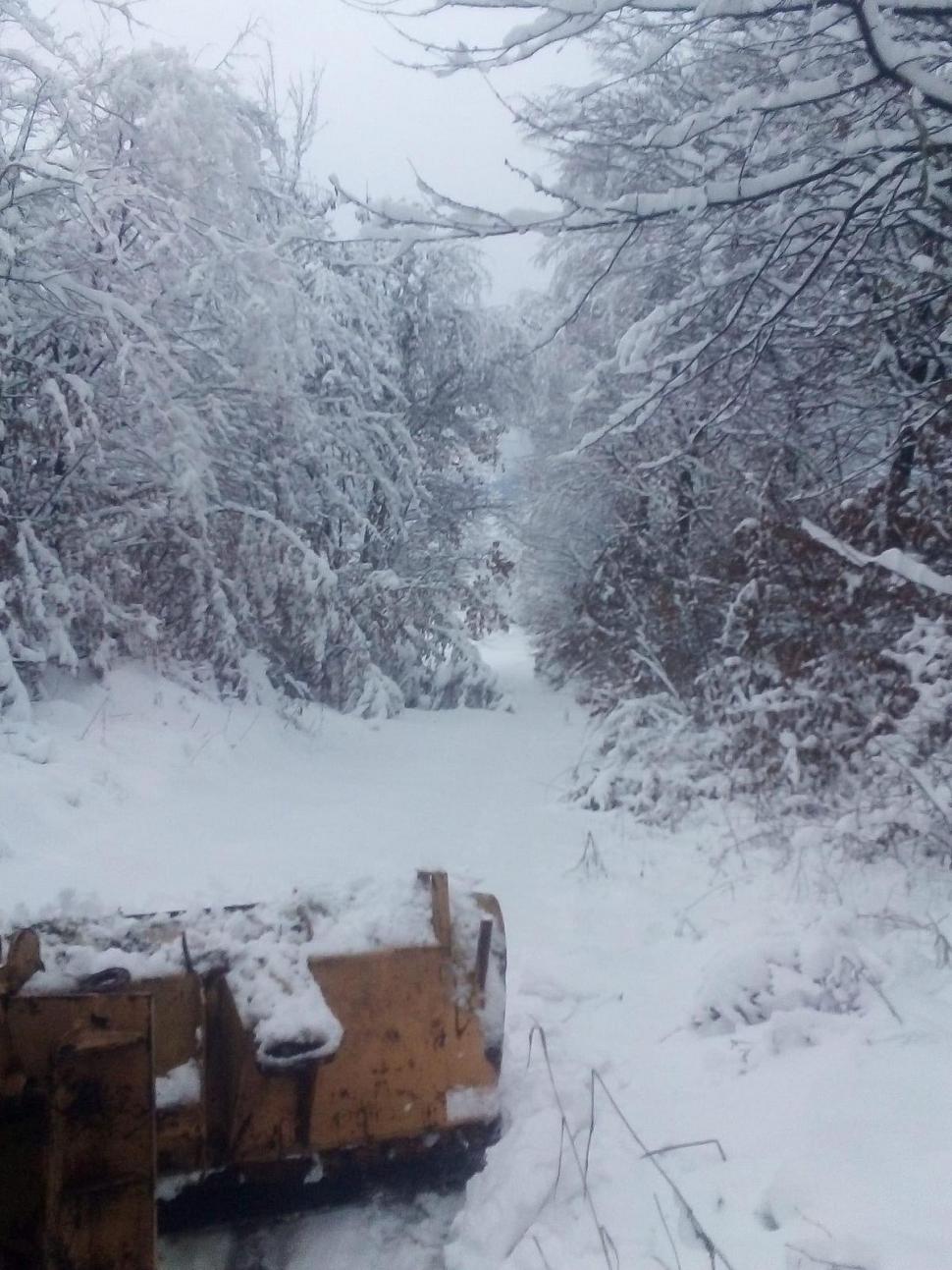 Furtună de ninsoare în nordul României! Sute de familii au rămas fără curent | Restricții de circulație din cauza viscolului 876714