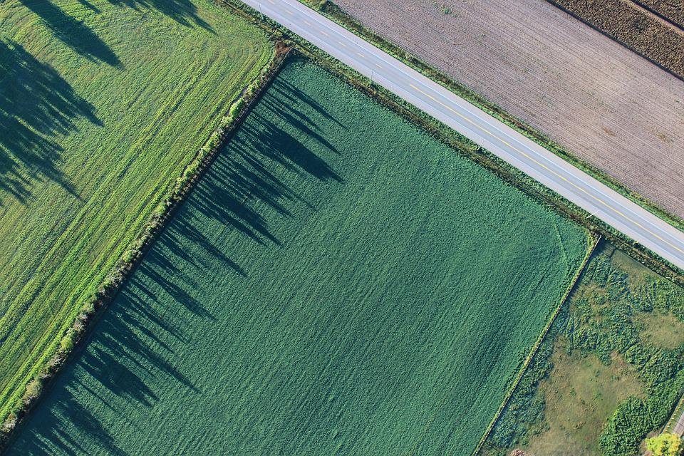 Proprietarii de terenuri agricole din România au devenit mai bogați datorită creșterii prețului pe hectar