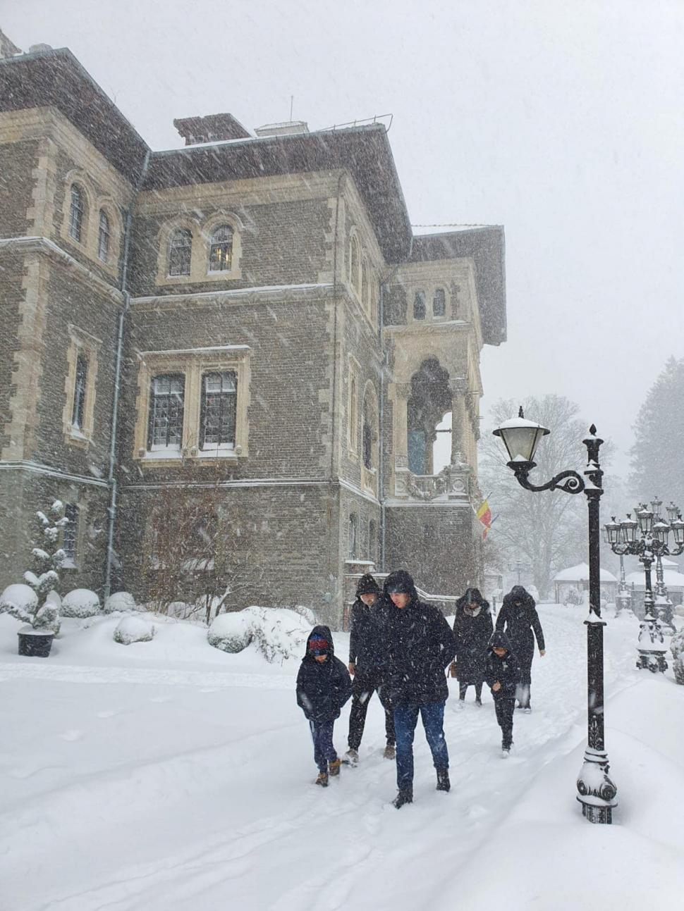 Ninge abundent în centrul țării | ”Este cel mai intens fenomen pe care l-am avut în ultimii ani” 876918