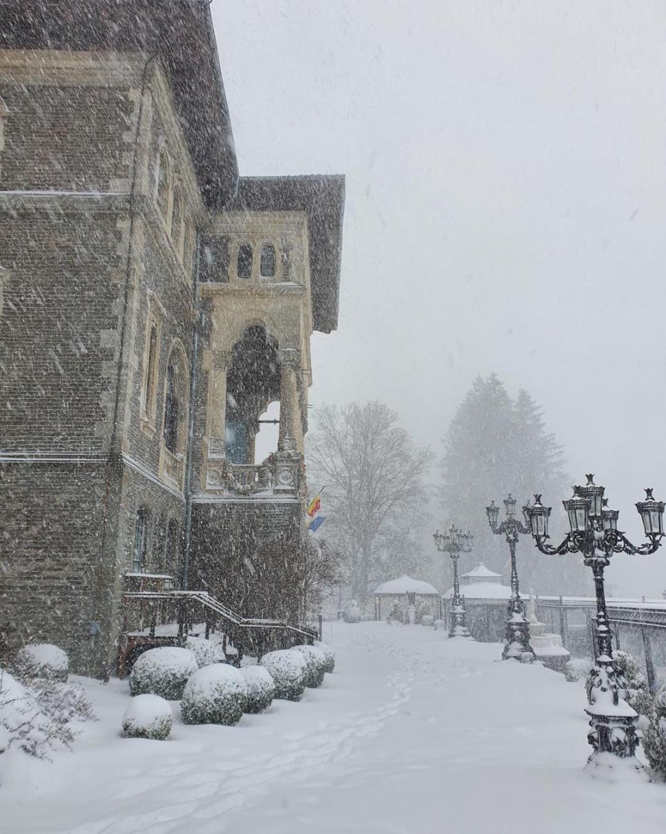 Ninge abundent în centrul țării | ”Este cel mai intens fenomen pe care l-am avut în ultimii ani” 876919