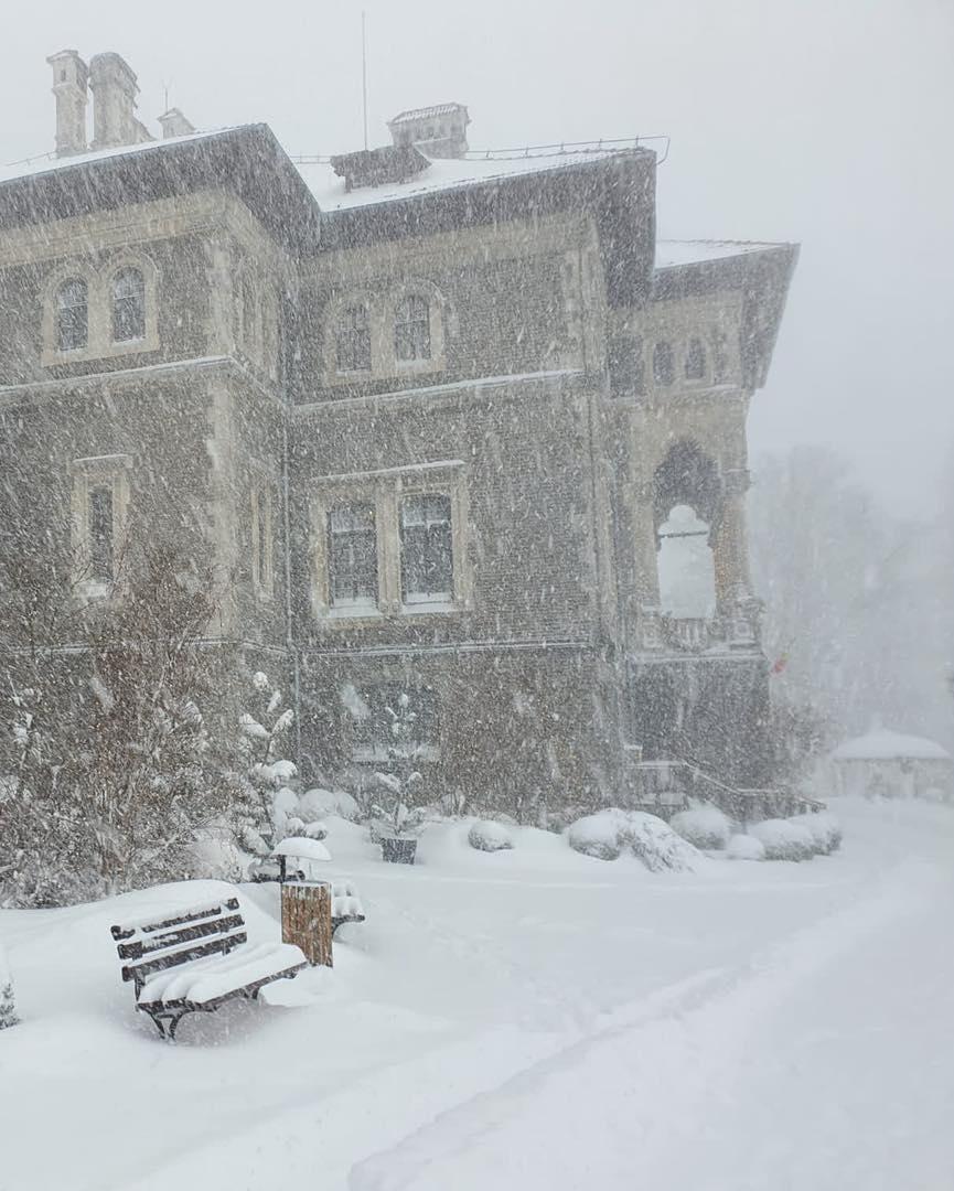 Ninge abundent în centrul țării | ”Este cel mai intens fenomen pe care l-am avut în ultimii ani” 876920