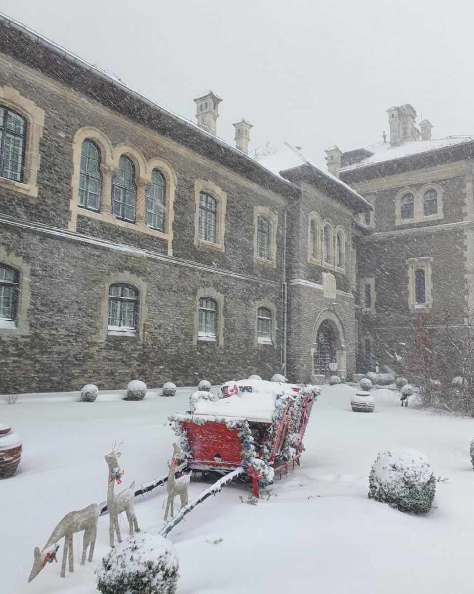 Ninge abundent în centrul țării | ”Este cel mai intens fenomen pe care l-am avut în ultimii ani” 876921