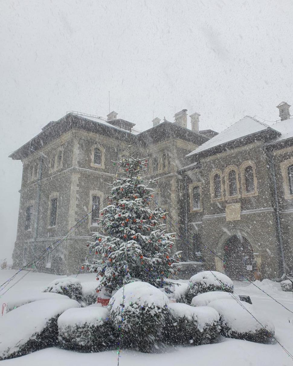 Ninge abundent în centrul țării | ”Este cel mai intens fenomen pe care l-am avut în ultimii ani” 876922