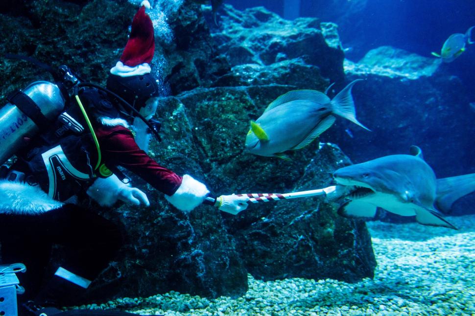 Cei mai ”nebuni” Moși Crăciuni din lume. Apariții inedite pe ape, pe uscat şi în aer!  877177