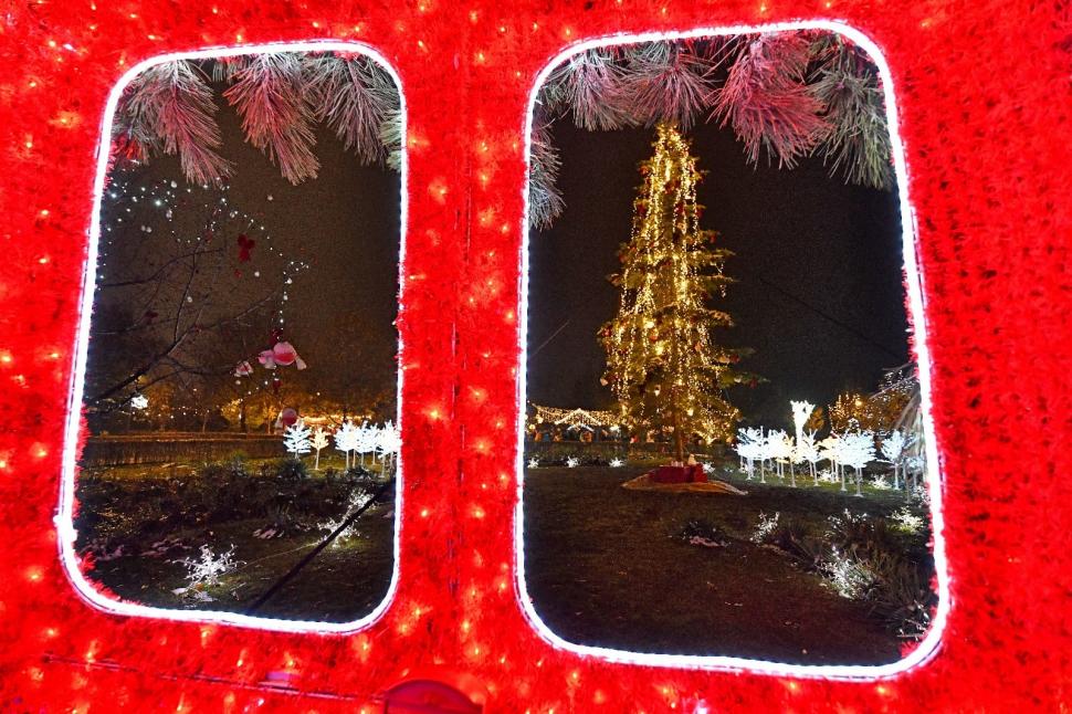 Inițiativă unică în București: Primăria Sectorului 6 a îndemnat locuitorii să împodobească brazi, ce vor ajunge în casele a șase familii nevoiașe, în Ajunul Crăciunului 876894