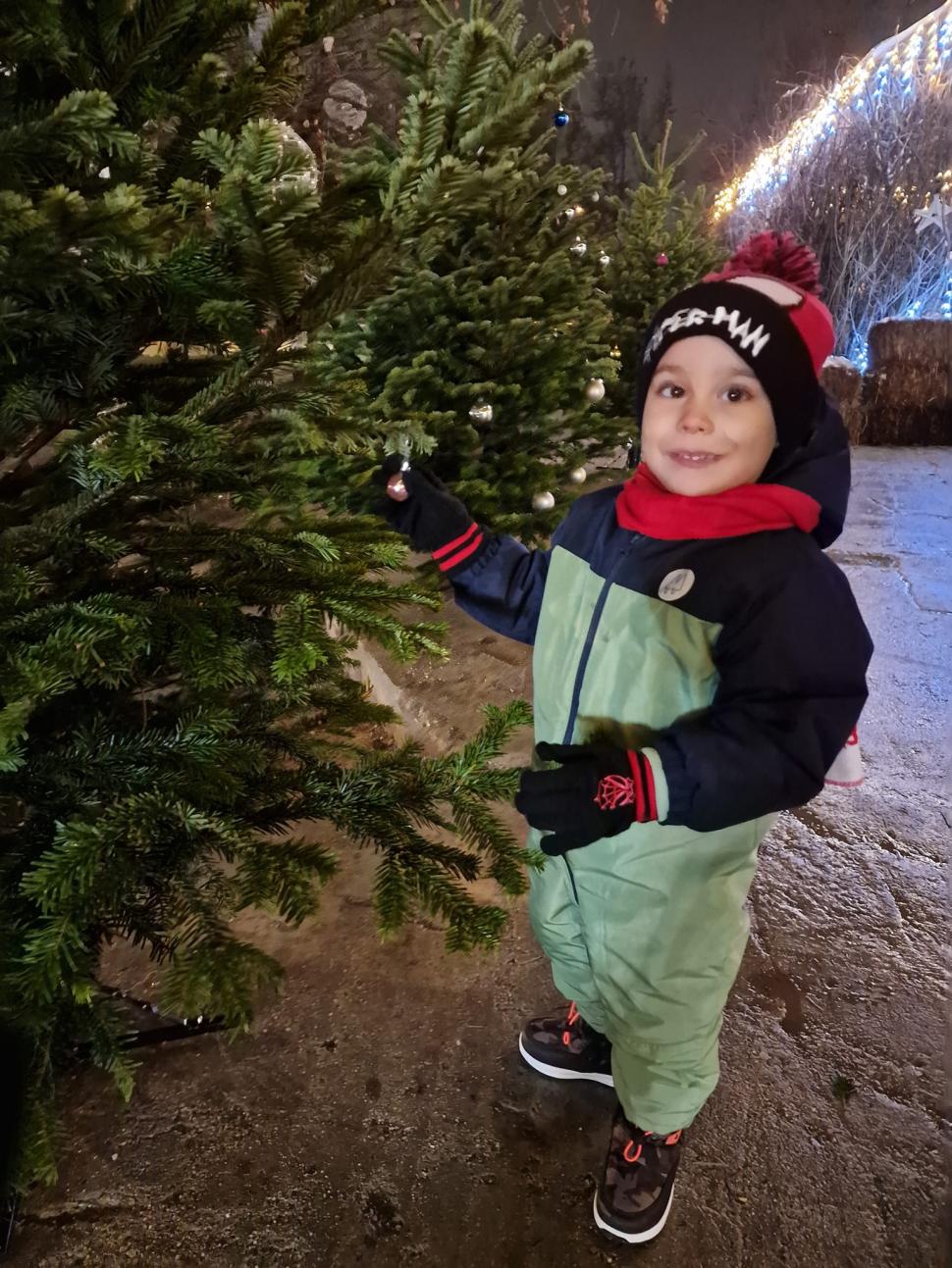 Inițiativă unică în București: Primăria Sectorului 6 a îndemnat locuitorii să împodobească brazi, ce vor ajunge în casele a șase familii nevoiașe, în Ajunul Crăciunului 876901