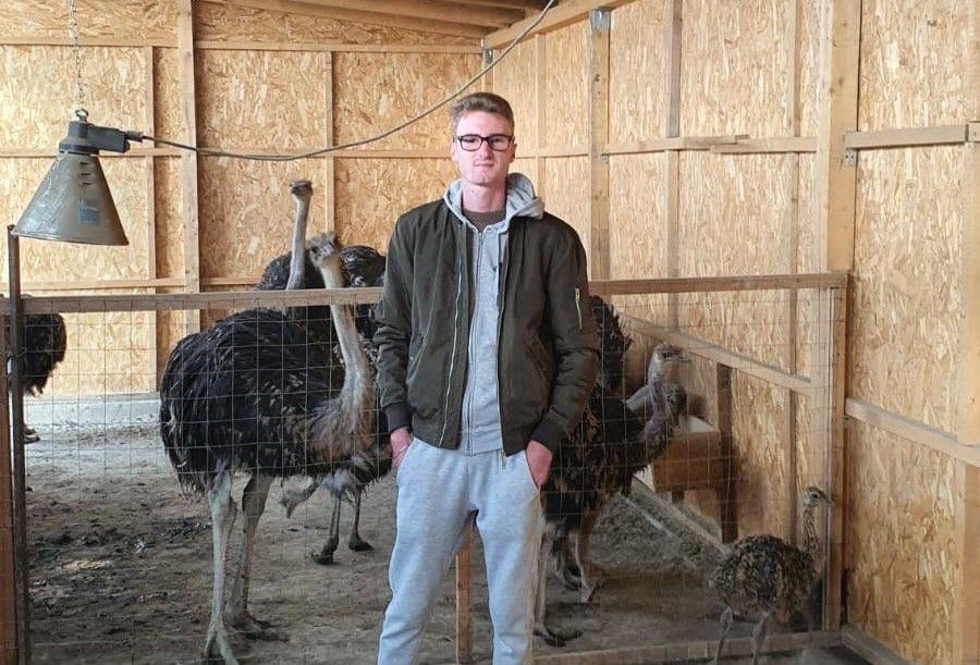 Afacerea cu care un român a dat lovitura la Găgeşti. "Numai coaja se vinde cu 50 de lei. Am pornit totul de la zero, cu 120 euro" 878018