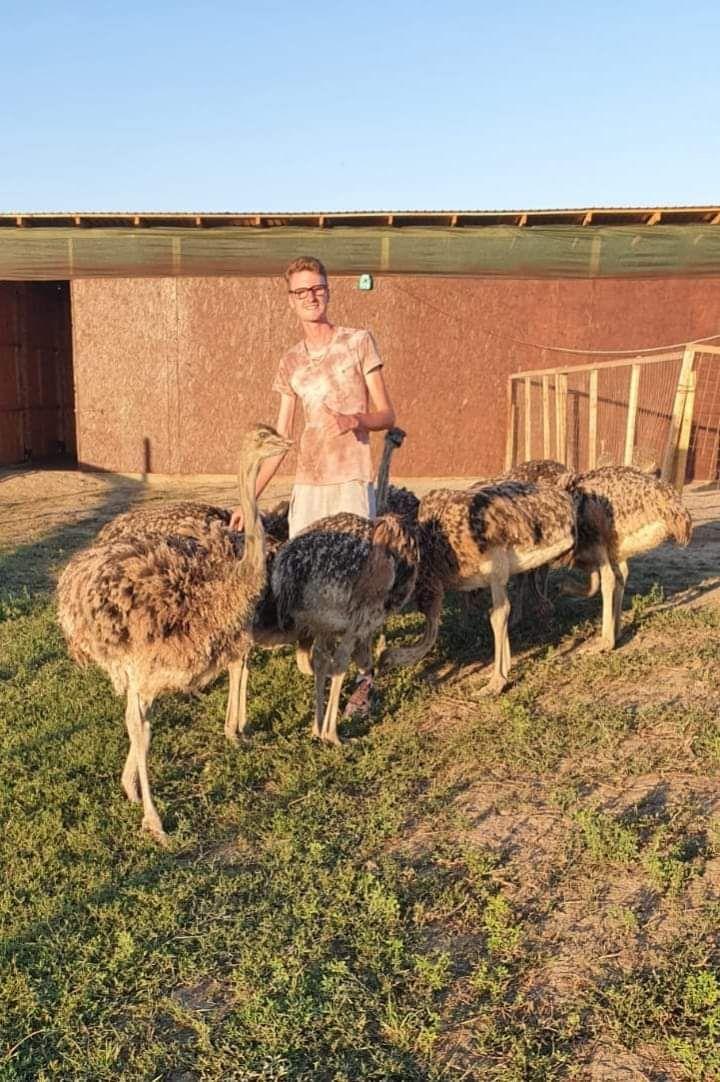 Afacerea cu care un român a dat lovitura la Găgeşti. "Numai coaja se vinde cu 50 de lei. Am pornit totul de la zero, cu 120 euro" 878019