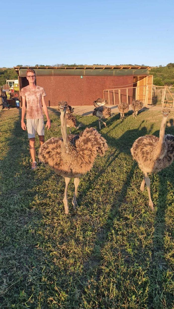 Afacerea cu care un român a dat lovitura la Găgeşti. "Numai coaja se vinde cu 50 de lei. Am pornit totul de la zero, cu 120 euro" 878022