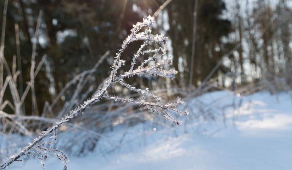 ANM: Vremea devine normală pentru mijlocul iernii, în ianuarie. Prognoza meteo pentru următoarele patru săptămâni