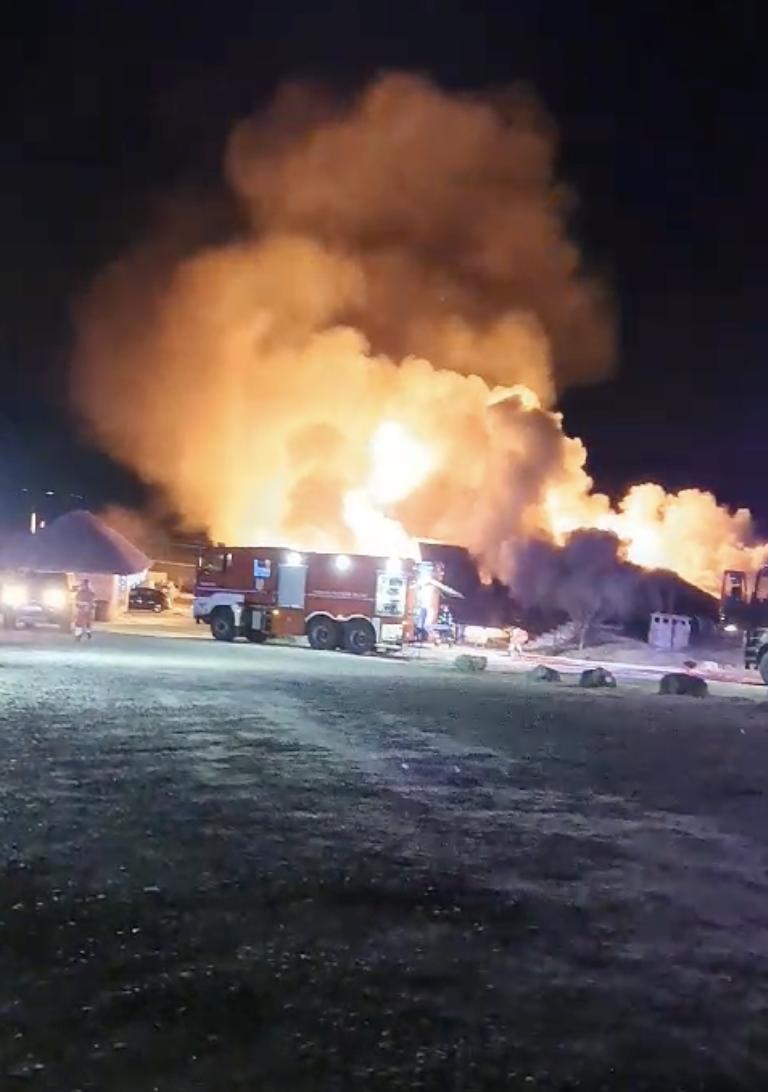 Bunica copilului găsit carbonizat în incendiul de la pensiunea din Prahova: ”Fiica mea este soția patronului” 877377