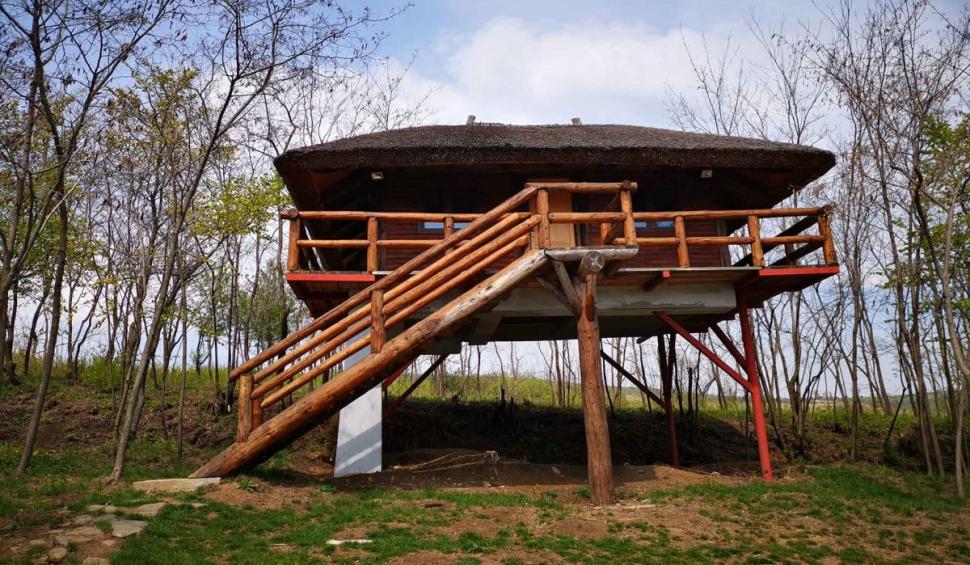 Cât costa o noapte de cazare la Ferma Dacilor (Tohani) şi cum arăta complexul turistic care s-a făcut scrum în a doua zi de Crăciun 877407