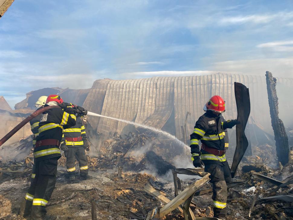 Mărturiile halucinante ale unui apropiat al patronilor pensiunii Ferma Dacilor: ”Un cetățean și-a bătut soția. La nervi, a pus foc” 877414