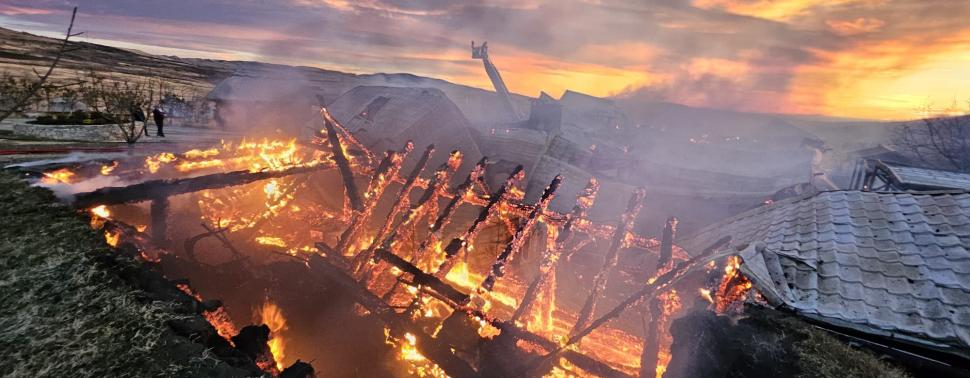 Mărturiile halucinante ale unui apropiat al patronilor pensiunii Ferma Dacilor: ”Un cetățean și-a bătut soția. La nervi, a pus foc” 877417