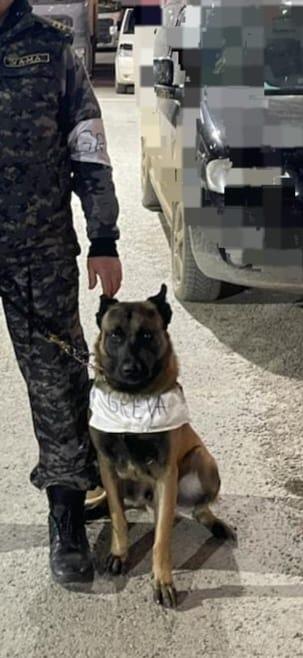 Angajați din ANAF, Finanțe și Vamă, protestează în a treia zi de Crăciun. Nemulțumirile salariaților 877602