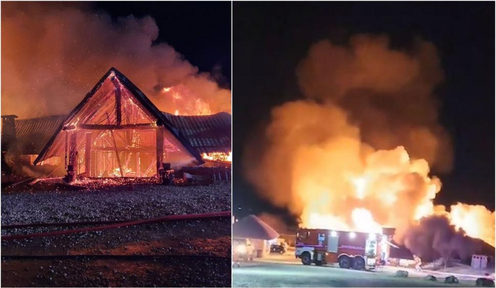 Surse: Ipoteza poliţiştilor în cazul incendiului de la Ferma Dacilor, din Tohani. Şapte oameni au murit în tragedie 877620