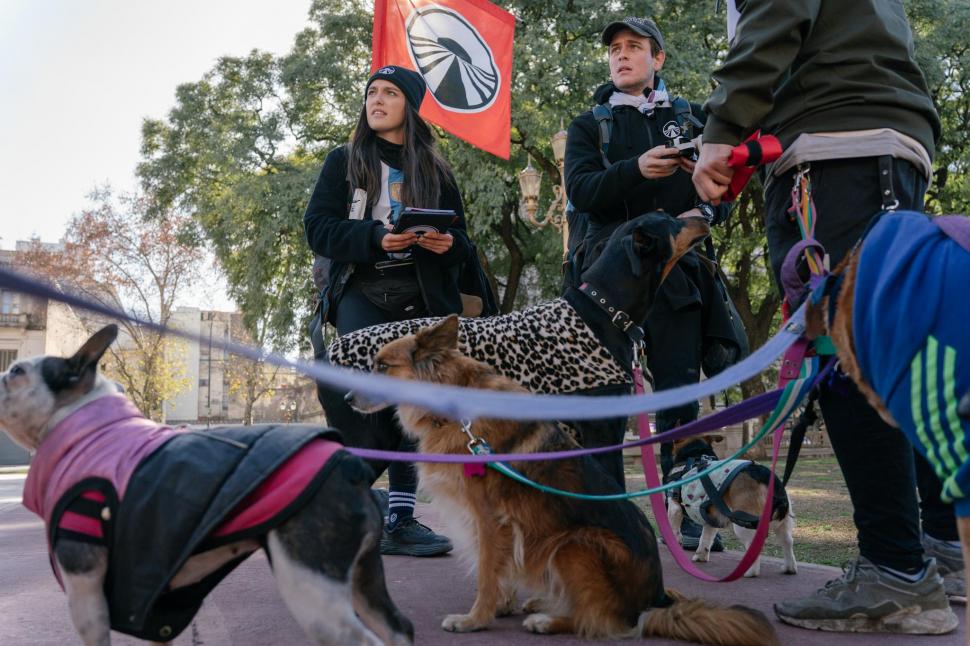 Câştigătoarele America Express 2023 sunt Sânziana Negru și Laura Giurcanu  877821