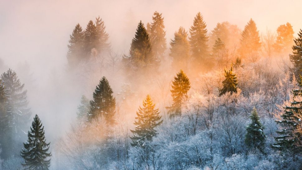 Temperaturi neobișnuite în ianuarie, în România! Prognoza meteo pentru următoarele două săptămâni