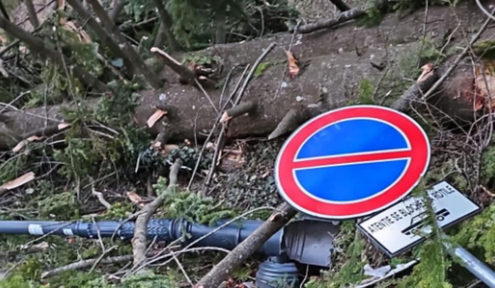 Vânt puternic la Sinaia. Zeci de gospodării au rămas fără curent electric 879112