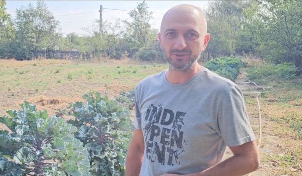 O nouă legumă pe piaţa românească. Are gust de nucă şi se cultivă în Buzău: "Oamenii deocamdată nu ştiu de ea. În SUA, i se mai spune Lollipops"