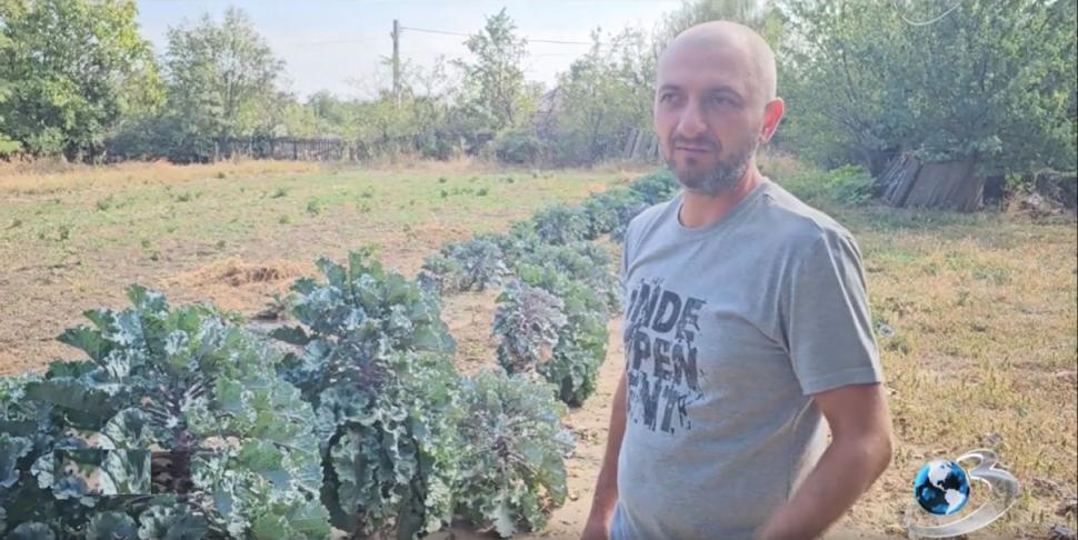 O nouă legumă pe piaţa românească. Are gust de nucă şi se cultivă în Buzău: "Oamenii deocamdată nu ştiu de ea. În SUA, i se mai spune Lollipops" 879193