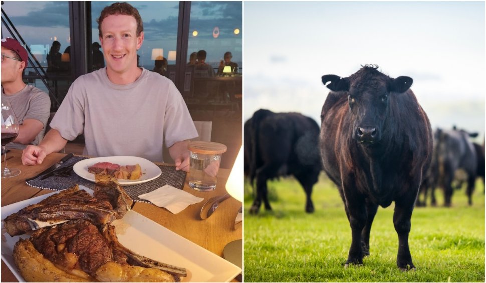 Mark Zuckerberg, fondatorul Facebook, s-a făcut fermier: "Dintre toate proiectele mele, acesta este cel mai delicios"
