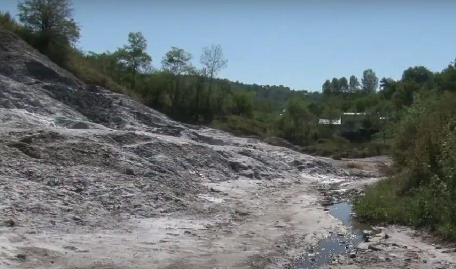 Comuna din România unde natura îi ajută pe localnici să facă cele mai bune murături: "Femeile nu mai merg la magazin, se duc direct la deal!" 880115