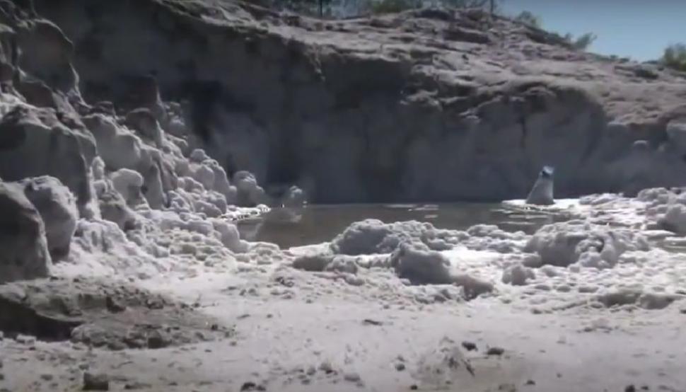 Comuna din România unde natura îi ajută pe localnici să facă cele mai bune murături: "Femeile nu mai merg la magazin, se duc direct la deal!" 880116