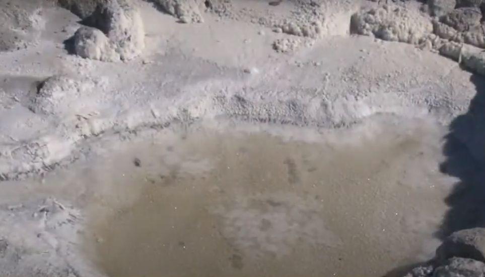 Comuna din România unde natura îi ajută pe localnici să facă cele mai bune murături: "Femeile nu mai merg la magazin, se duc direct la deal!" 880117