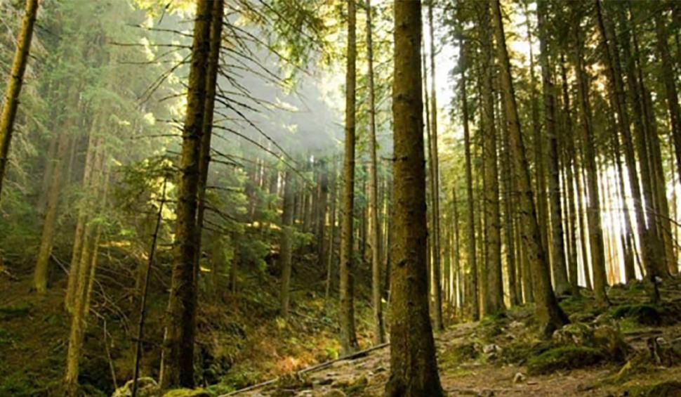 Orașul din România unde un izvor cu apă termală a îmbunătățit viaţa a mii de oameni. Primar: "După analize, au ajuns la concluzii deosebite" 880240