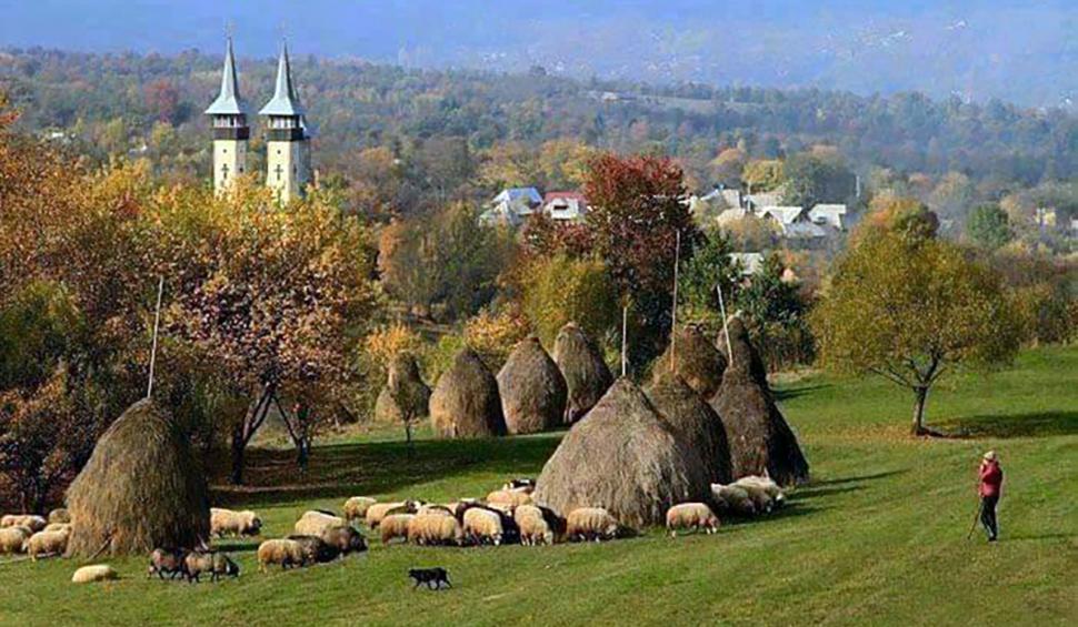 Orașul din România unde un izvor cu apă termală a îmbunătățit viaţa a mii de oameni. Primar: "După analize, au ajuns la concluzii deosebite" 880243