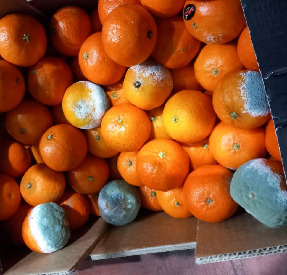 Legume și fructe mucegăite, găsite în depozite din Ilfov. Comisarii ANPC au aplicat amenzi de 15.000 de lei  880432