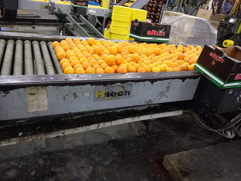 Legume și fructe mucegăite, găsite în depozite din Ilfov. Comisarii ANPC au aplicat amenzi de 15.000 de lei  880433