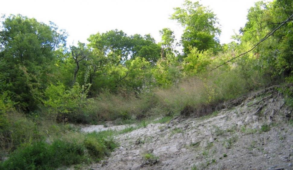 Destinaţia din România inclusă în top 10 locuri bântuite de fantome | Legenda acestei zone îi atrage pe amatorii de fenomene paranormale care vin să-i descopere misterul 880235