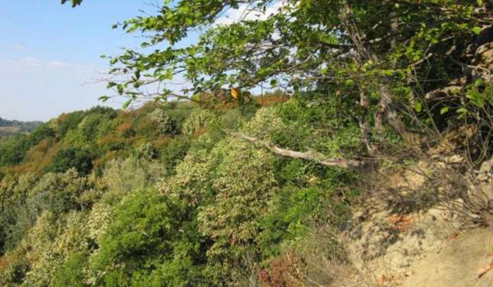 Destinaţia din România inclusă în top 10 locuri bântuite de fantome | Legenda acestei zone îi atrage pe amatorii de fenomene paranormale care vin să-i descopere misterul 880236