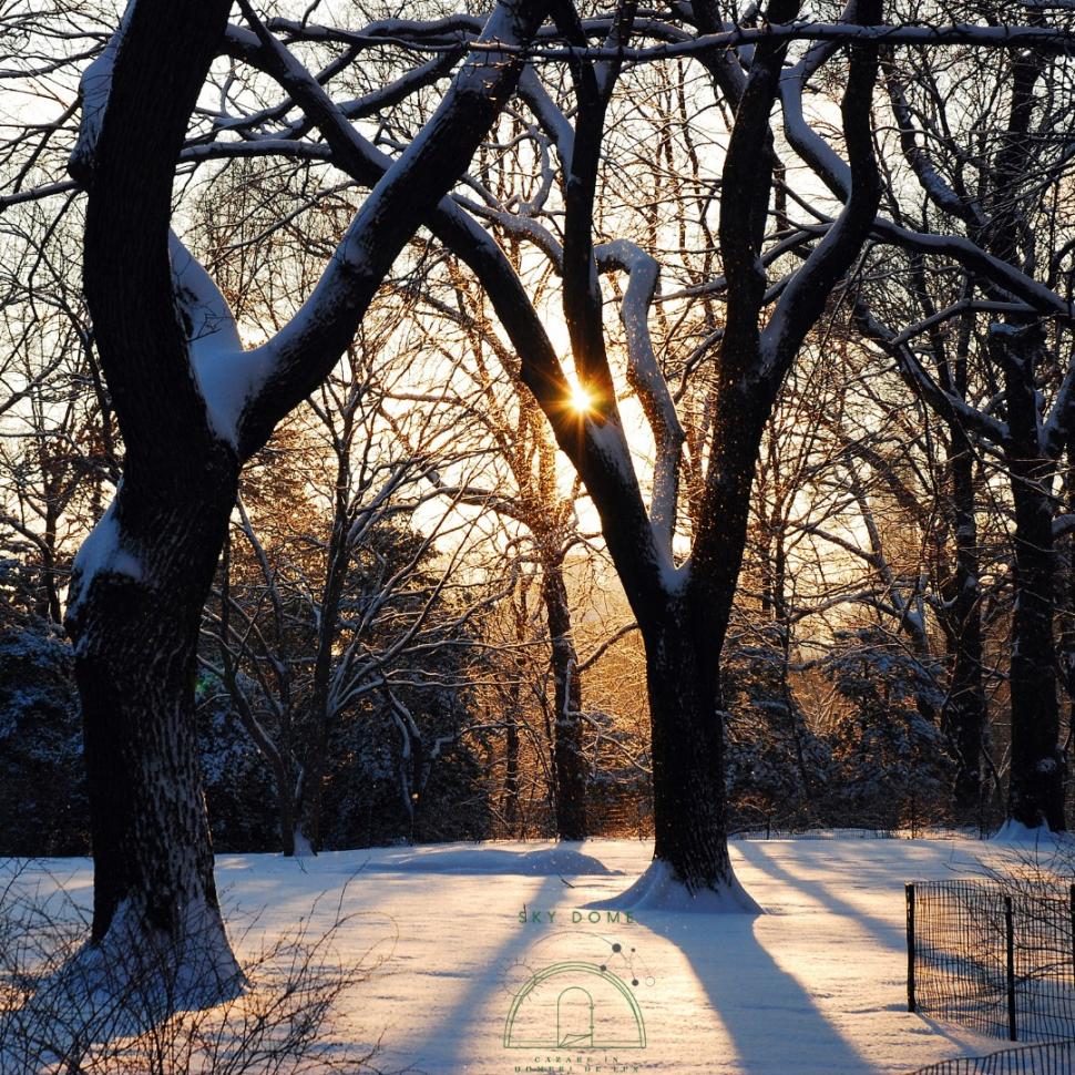 Afacerea cu care un român a dat lovitura în comuna Berința: ”Am dorit ca lumea să cunoască Maramureşul nostru exact aşa cum este el: frumos, tradiţional” 880722
