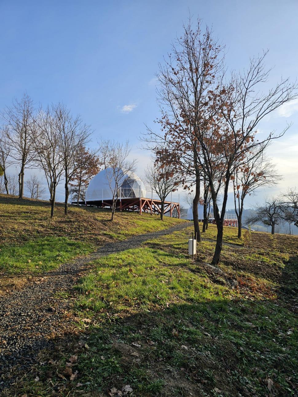 Afacerea cu care un român a dat lovitura în comuna Berința: ”Am dorit ca lumea să cunoască Maramureşul nostru exact aşa cum este el: frumos, tradiţional” 880724