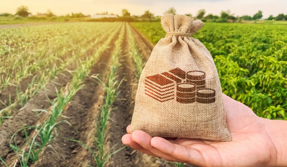Ajutoare de la stat pentru fermierii români | Anunţ important făcut de Ministerul Agriculturii şi Dezvoltării Rurale