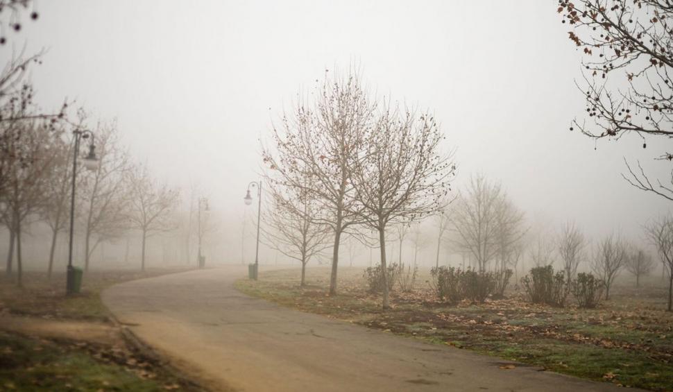 Schimbare radicală a vremii. Maxime de primăvară după valul de ger! Prognoza meteo actualizată