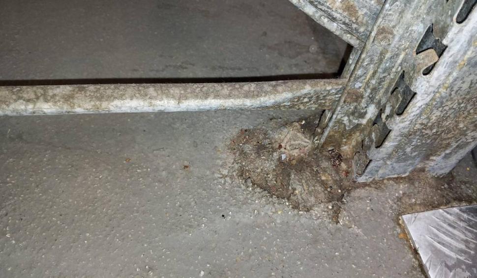 Șeful ANPC, despre neregulile găsite într-un cunoscut lanț de magazine din România: "Este deja prea mult!" 881996