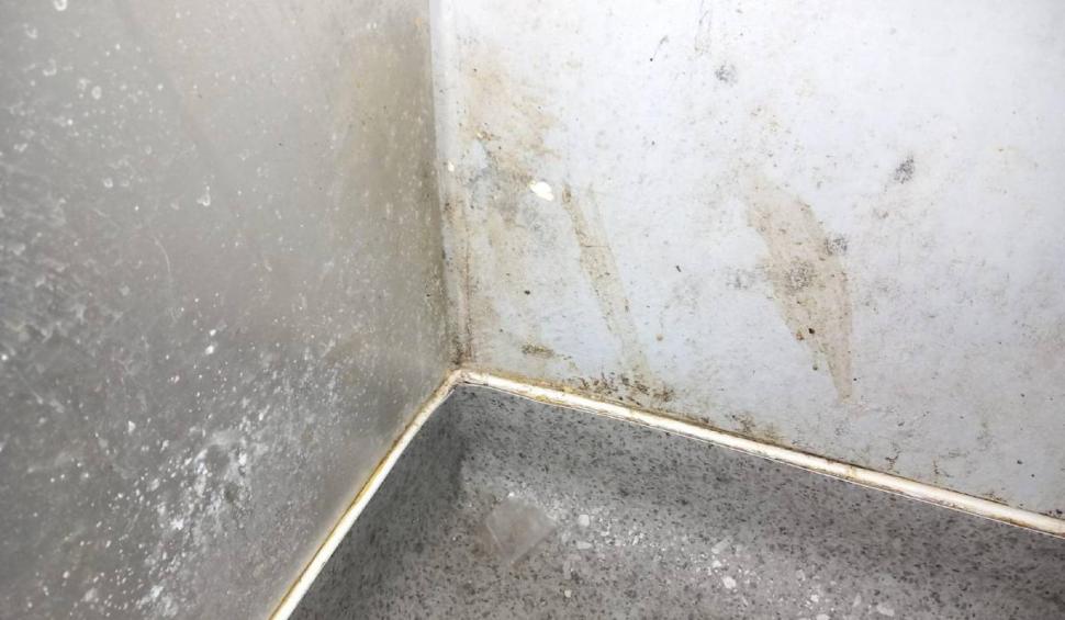 Șeful ANPC, despre neregulile găsite într-un cunoscut lanț de magazine din România: "Este deja prea mult!" 881998