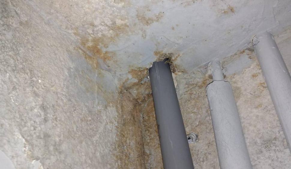 Șeful ANPC, despre neregulile găsite într-un cunoscut lanț de magazine din România: "Este deja prea mult!" 881999