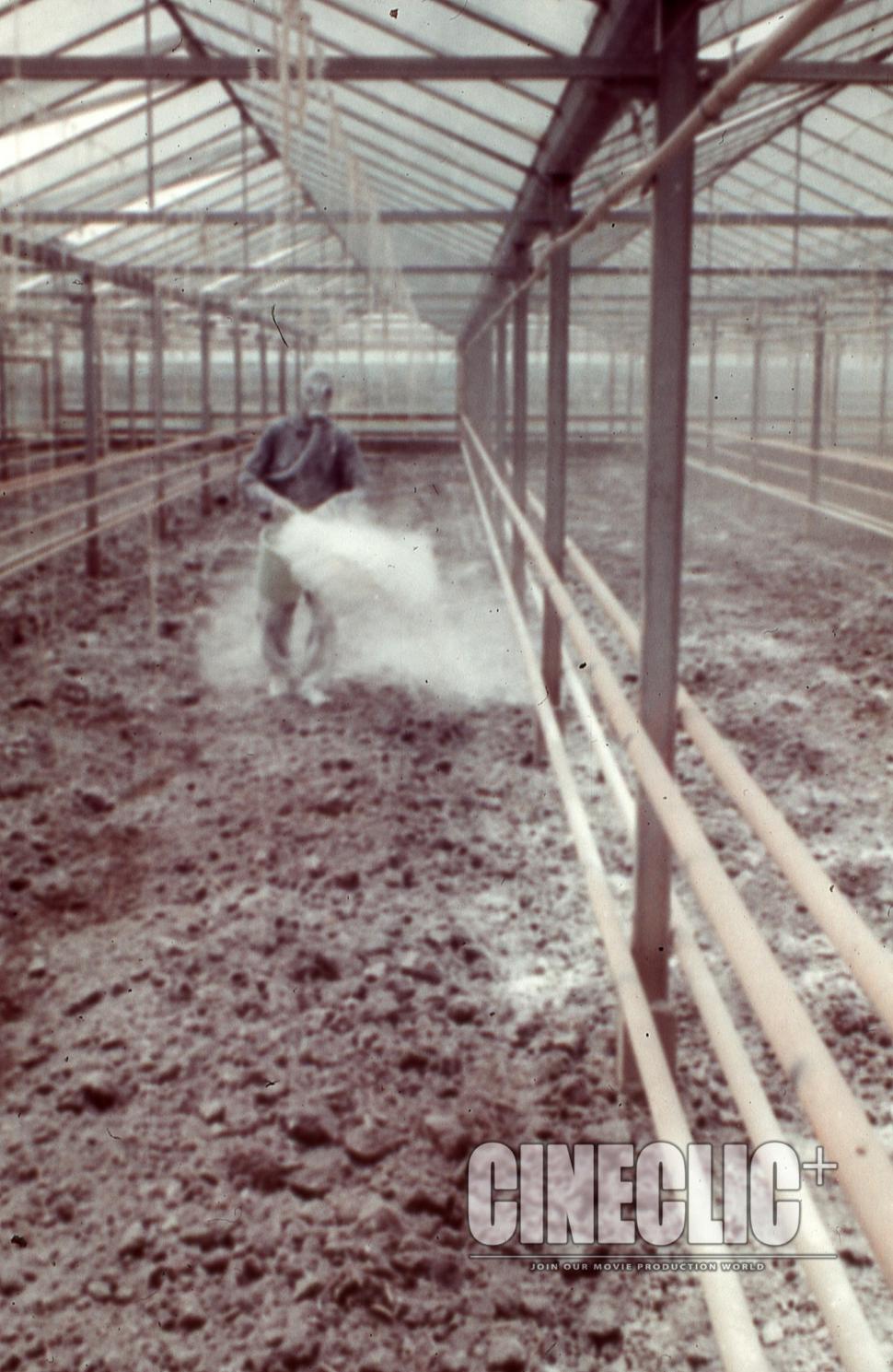 Aşa se cultivau roșiile în perioada comunistă. Oamenii lucrau cu măşti de gaze din cauza substanţelor toxice  881780