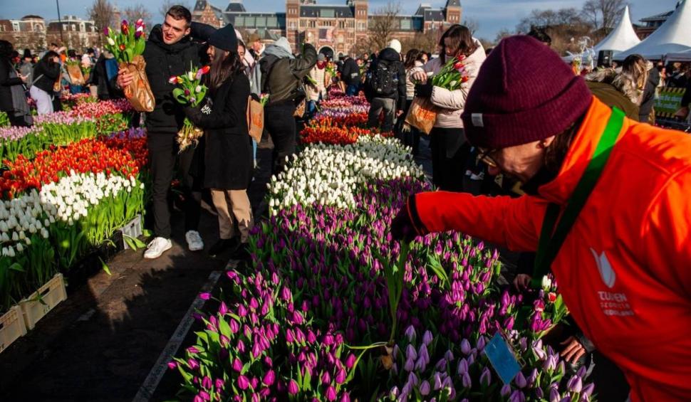 Olanda sărbătoreşte Ziua Naţională a Lalelei: 200.000 de flori au fost oferite, gratis, la Amsterdam 882017