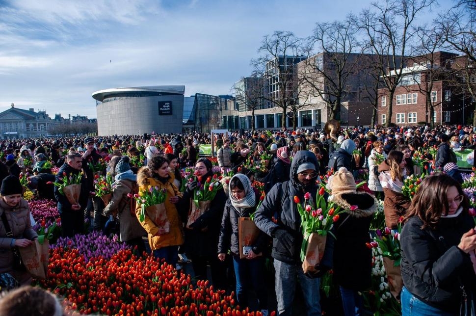 Olanda sărbătoreşte Ziua Naţională a Lalelei: 200.000 de flori au fost oferite, gratis, la Amsterdam 882019