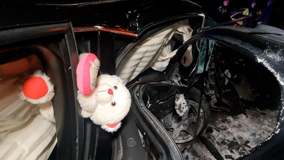 Ea este Andra, tânăra care și-a pierdut viața într-un cumplit accident, în Botoșani. Iubea animalele şi îngrijea câinii fără stăpân 882304