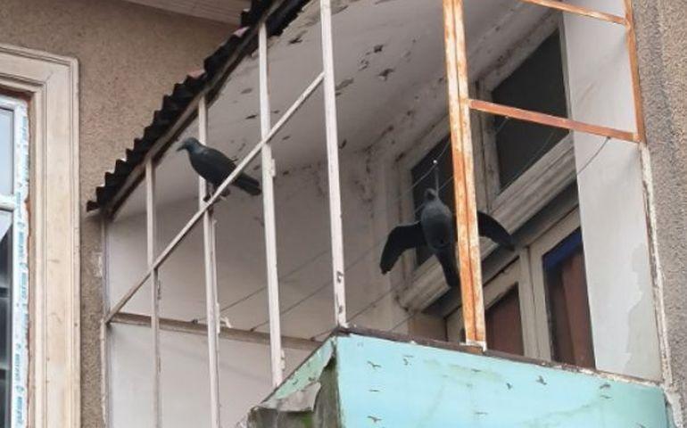 Balconul unui român a devenit viral pe internet datorită decorului său ieșit din comun. Nu ai cum să nu îl observi  882766